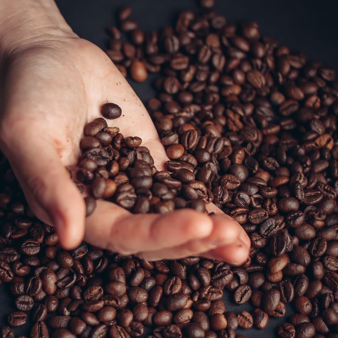 Junior Barista Skills